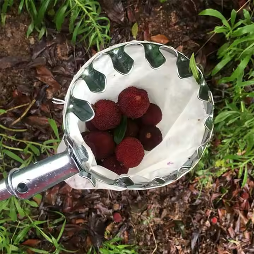 Picking Pole with Basket Telescopic Portable Fruit Picker