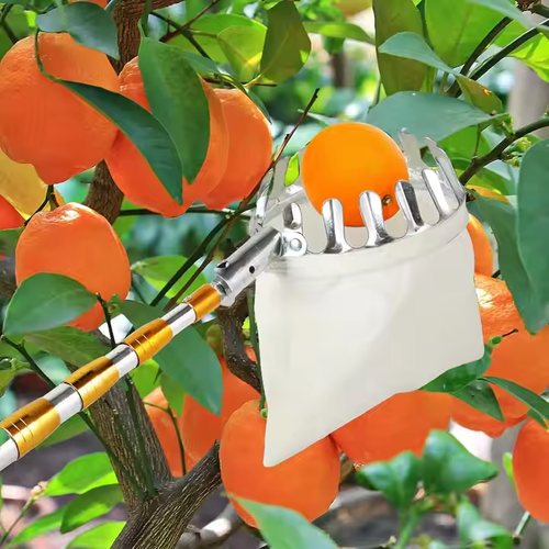 Picking Pole with Basket Telescopic Portable Fruit Picker