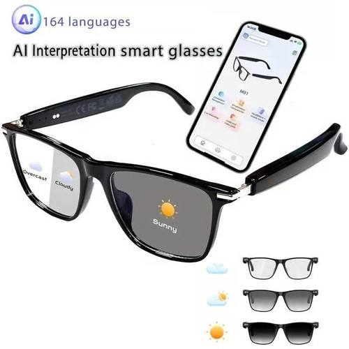 AI Interpretation Smart Glasses, with 164 Languages, Chat GPT,Audio Glasses for Men And Women
