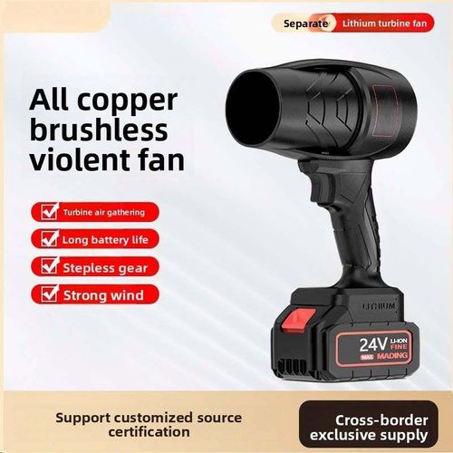 Lithium Electric Violence Hair Dryer