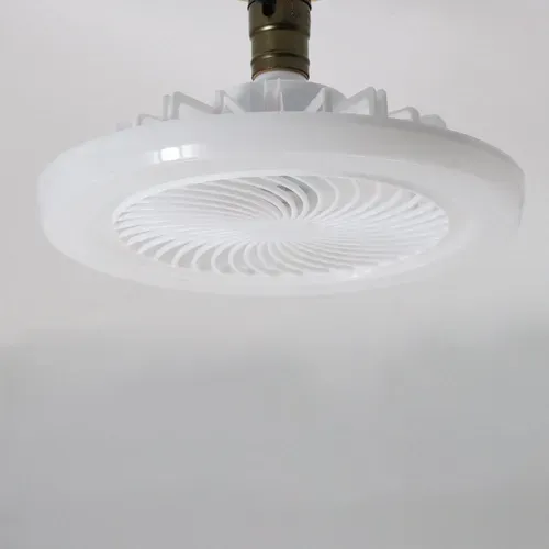 Ceiling Fan With Light Emitting Diode Light Cooling Electric Fan Light Chandelier