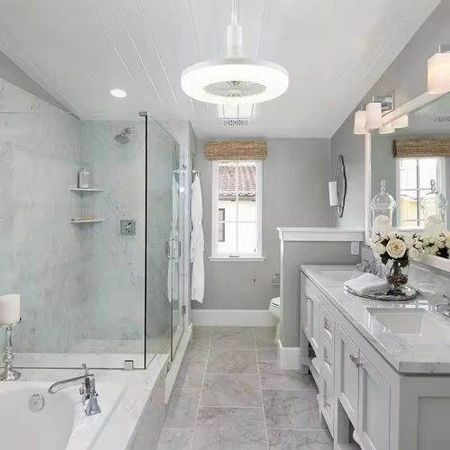 Ceiling Fan With Light Emitting Diode Light Cooling Electric Fan Light Chandelier