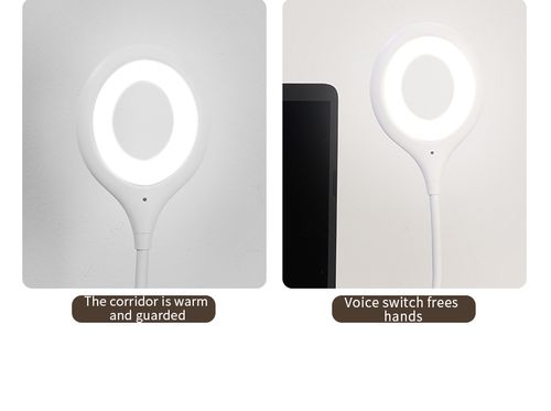 Portable Mini Intelligent Voice-activated Reading Desk Lamp