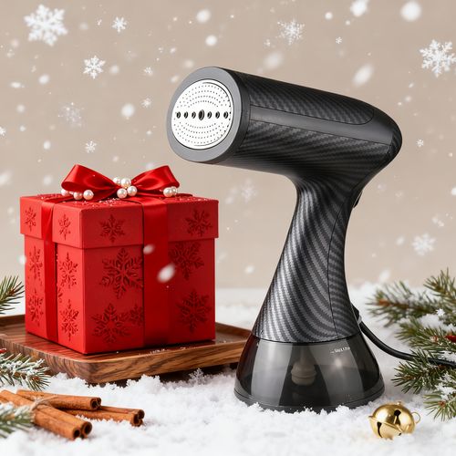Handheld Steam Garment Steamer