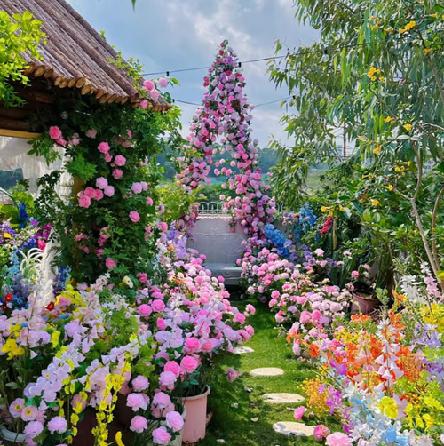 Climbing Vine Rose Flower Seeds（1000 seeds)🌹