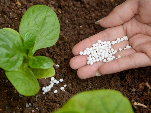 compound fertilizer NPK 18-18-18 for Garden Fruit Trees & Vegetables 15kg