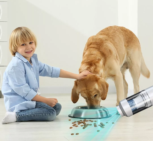 Handheld Vacuum All-in-One Power