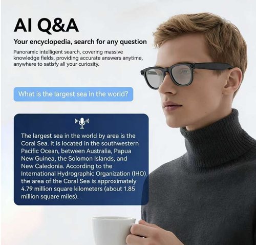 Smart Ai Glasses HD Wearable Camera Voice Assistant Real-Time Translation Anti Shake Video Recording Chatgpt