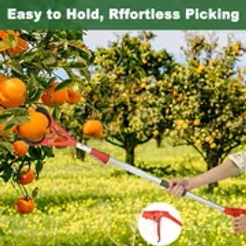 Fruit Picker, Long Reach Fruit Harvester114.0-170.08cm Telescoping Fruit Picker Pole, High-Reach Fruit Grabber for Apples, Pears, Persimmons, Lemons, Mangoes