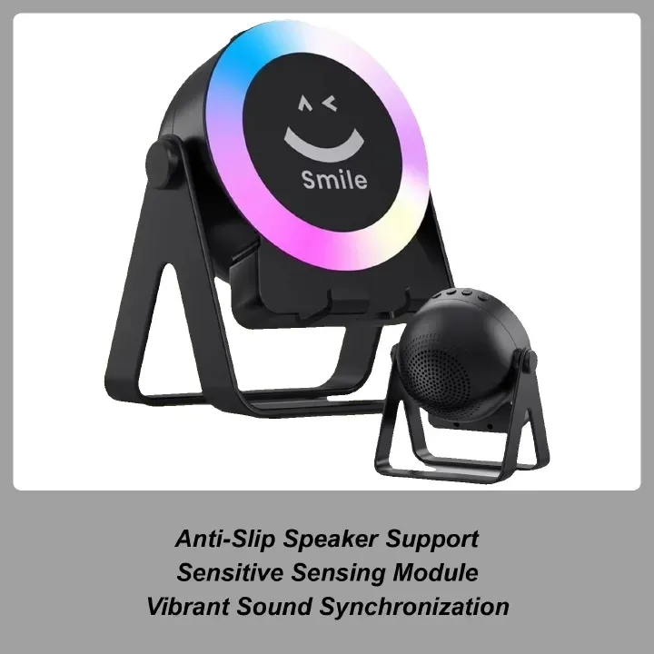 Wireless Induction Speaker