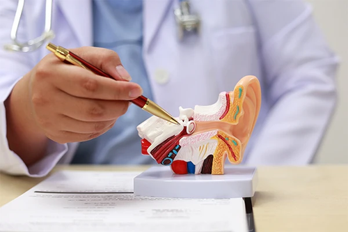 Eptchn 1080P Wireless Otoscope Ear Wax Removal Camera