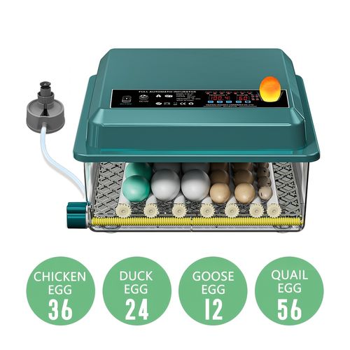 Fully Automatic 36-Egg Smart Incubator, Featuring an Innovative Pulse Dot-matrix Heating Mode, Fahrenheit Display, Automatic Egg Turning, Automatic Watering and Humidity Control, Precise Temperature Regulation, Freely Adjustable Shaft Spacing, and 5