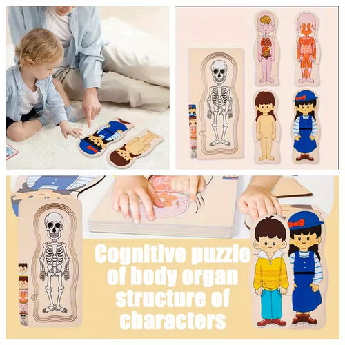 Science Enlightenment: Puzzle of Human Organ Structure, Anatomy, Skeleton, Cognitive Education, Body Organs, Puzzle Toy