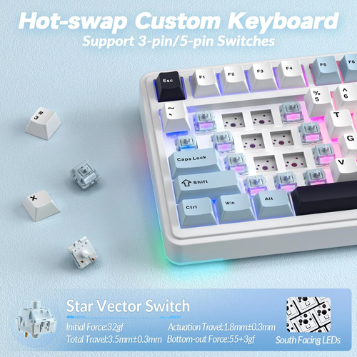 Wireless Mechanical Keyboard