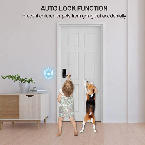Smart Door Lock