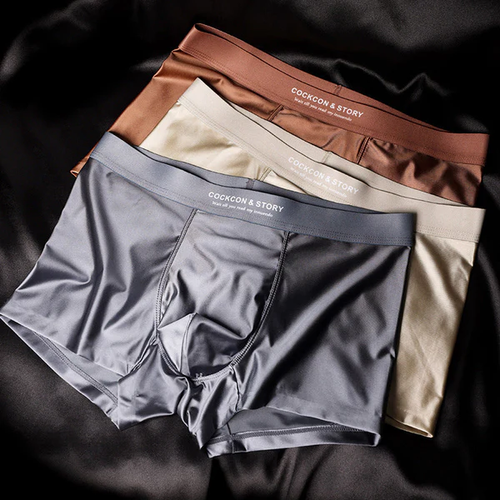 🔥Men's Satin Ice Silk Briefs