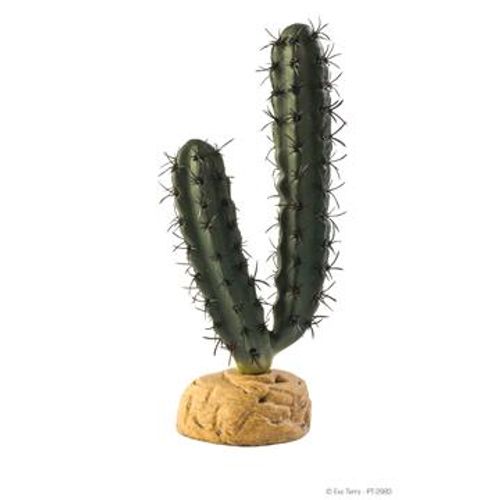 Cactus en doigts Exo Terra