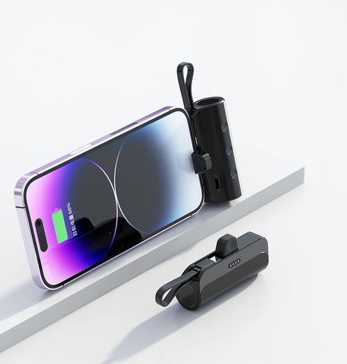 Chargeur d'accumulateur mini