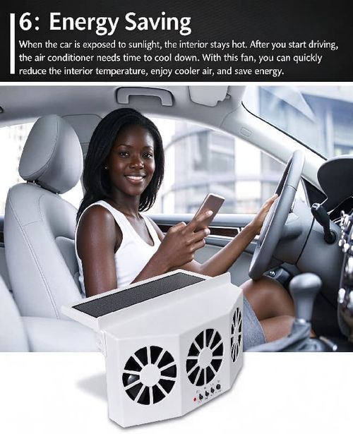 Solar-Powered Car Cooler