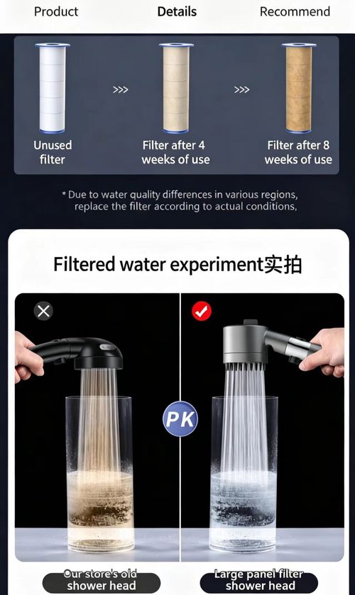Filter shower head