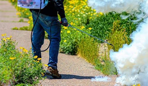 Mosquito repellent patches, a summer essential, keep mosquitoes away. Order now and enjoy a 50% discount!
