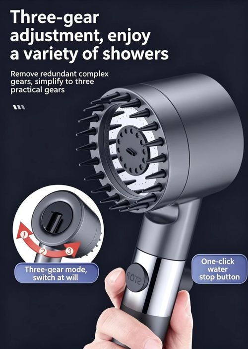 Filter shower head