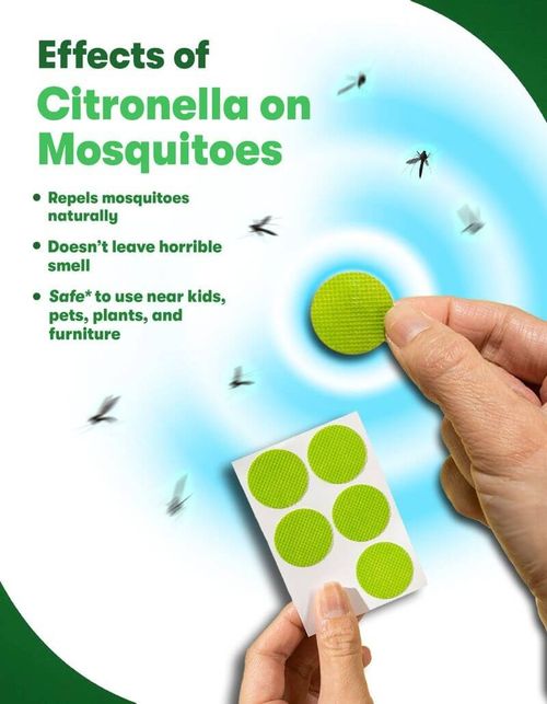 Mosquito repellent patches, a summer essential, keep mosquitoes away. Order now and enjoy a 50% discount!