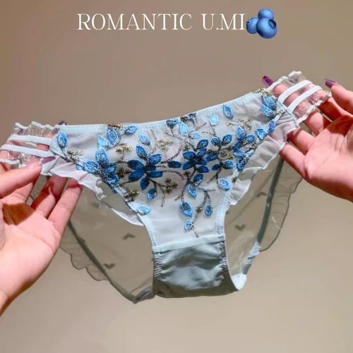 Three-dimensional embroidered transparent mesh fabric comfortable and alluring lace women's underwear