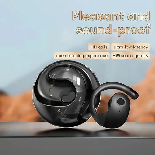 Wireless Bluetooth Translation Earbuds