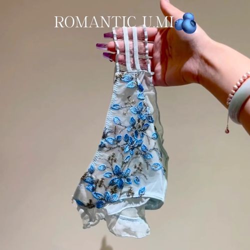 Three-dimensional embroidered transparent mesh fabric comfortable and alluring lace women's underwear