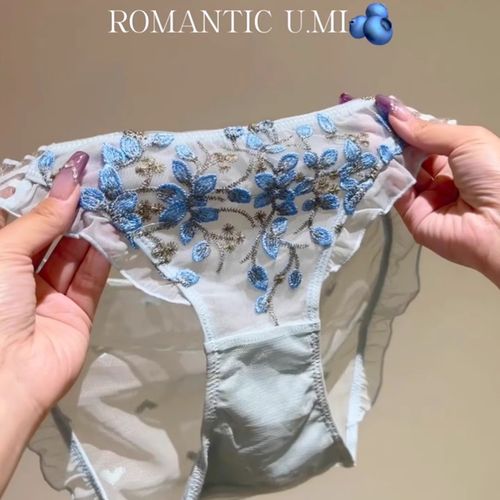 Three-dimensional embroidered transparent mesh fabric comfortable and alluring lace women's underwear