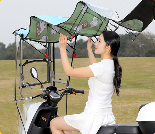 Electric car awning new style quick detachable folding retractable
