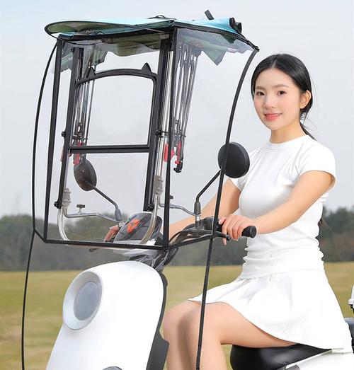 Electric car awning new style quick detachable folding retractable