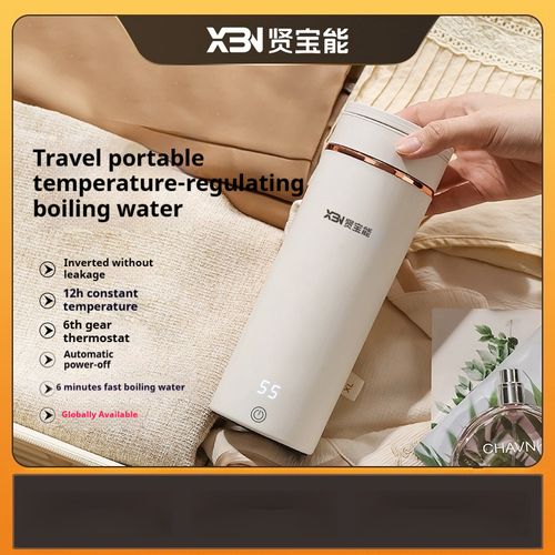 Portable Electric Kettle