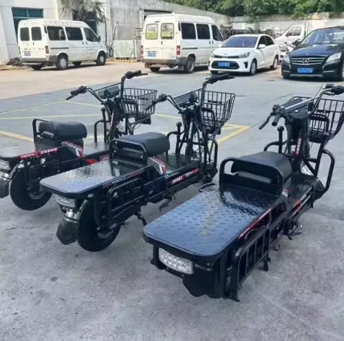 Electric high-power cargo bicycle