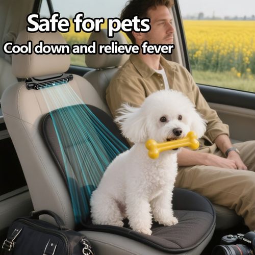 Car fan