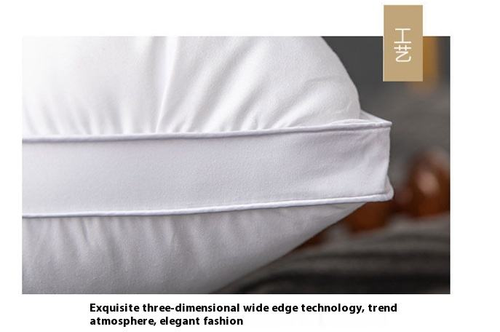 High Quality Luxury Microfiber Therapy Pillow with Twisted Flower Design 48*74cm