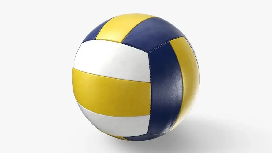 volleyball NO.3423
