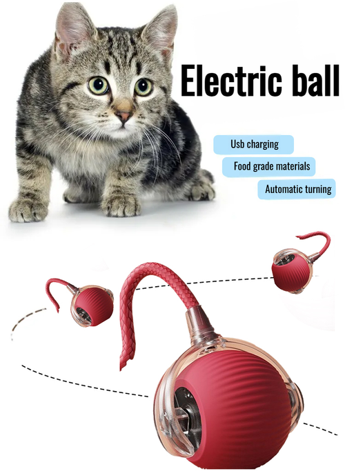 Pet toys, don't miss out on accompanying your pet