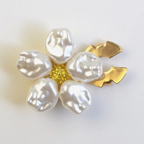 Decorative accessories: buttons, brooches, collar clips