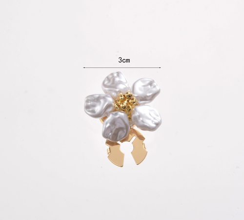 Decorative accessories: buttons, brooches, collar clips