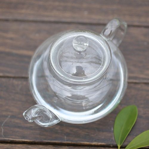 Heat Resistant Bottle Flowers Glass Teapot, Loose Leaf Tea Pot with Infuser and Lid, Perfecr for Mother's day, Thanksgiving, Chirsmas, Birthday Gift