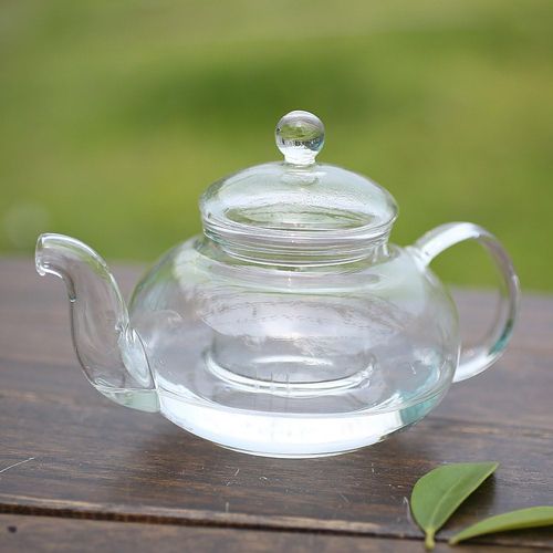 Heat Resistant Bottle Flowers Glass Teapot, Loose Leaf Tea Pot with Infuser and Lid, Perfecr for Mother's day, Thanksgiving, Chirsmas, Birthday Gift