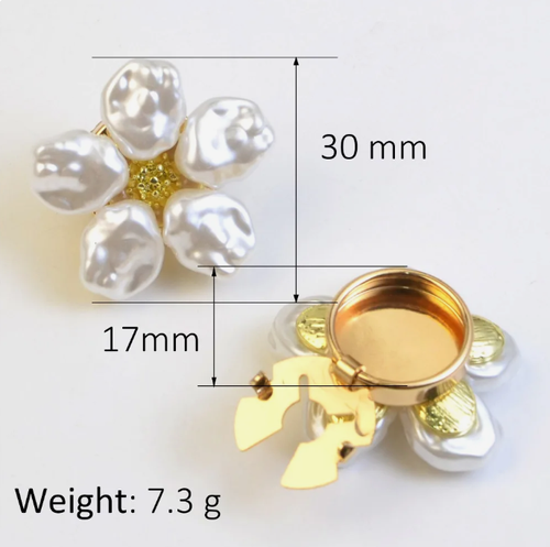 Decorative accessories: buttons, brooches, collar clips
