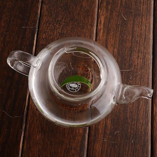 Heat Resistant Bottle Flowers Glass Teapot, Loose Leaf Tea Pot with Infuser and Lid, Perfecr for Mother's day, Thanksgiving, Chirsmas, Birthday Gift