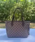 Louis Vuitton Louis Vuitton Damier Ebene Canvas Neverfull PM Ba