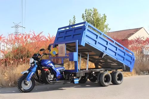 ZUJAZ0  tricycle （CH220）