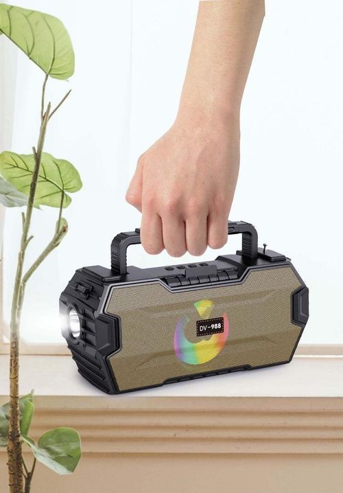 Outdoor Portable DV-988 Speaker