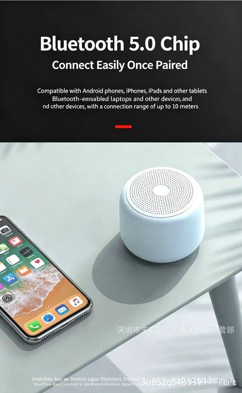 Bluetooth speaker