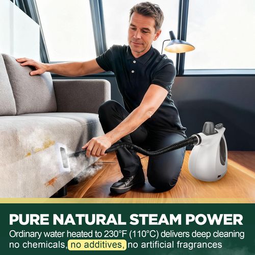 Steam Cleaner
